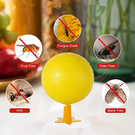 Fruktfluga Bollar Fluga Ball Trap Sticky Insect Ball Wasp Mosquito Ball Trap Bug Trap