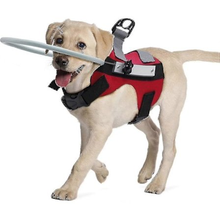Opaskoira-valjaat, sokean koiran halo, törmäyksenestorengas suojaamaan sokeita, heikkonäköisiä kissoja ja koiria, punainen M