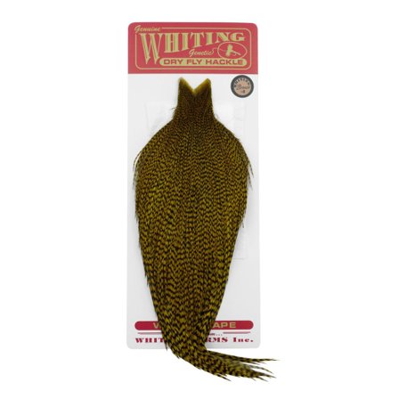 Whiting Bronze Cape Grizzly dyed Golden Olive