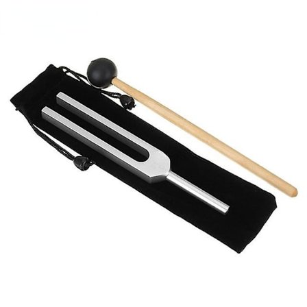 Medicinsk stämgaffel Test av nervsystemet Stämgaffel