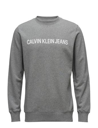Core Institutional Logo Sweatshirt Sweatshirt Trøje Grå Calvin Klein Jeans
