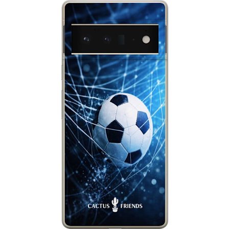 Yhteensopiva Puhelinkuori Google Google Pixel 6 Pro Cactus and Friends – GoalRush