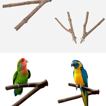 Kjæledyr papegøye Raw Wood Gaffel Stativ Leketøy Hamster Branch Perches