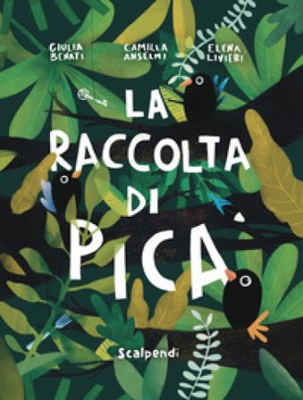 La raccolta di Pica Giulia Benati