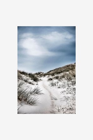 Malerifabrikken - Poster The path - Flerfarget - Postere - Fra Homeroom