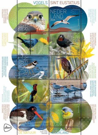 Holland - Oplev naturen 2025: Fugle på Sint Eustatius - Postfrisk 10-ark