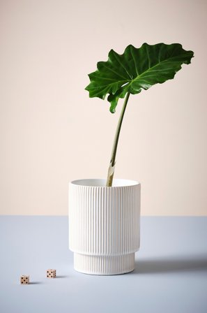 Jotex - Jo Potte ø 21 Cm Naturhvit - RUBY - Kjøp Krukker hos Jotex