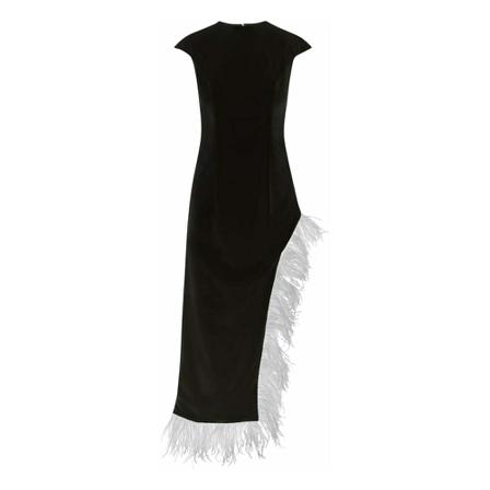 Wanan Touch, Plumage Dress with Feathers Zwart, Dames, Maat:L