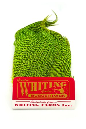 Whiting Bugger Pack Grizzly dyed Fl. Green Chartreuse
