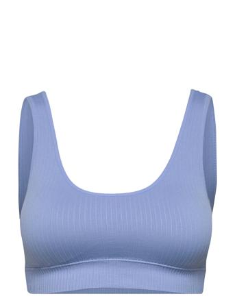 Apolo Blue Mango