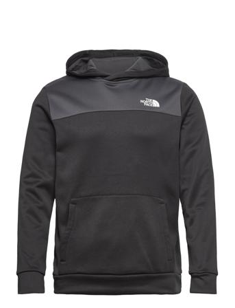 The North Face M Reaxion Fleece P/O Hoodie - Eu Grå