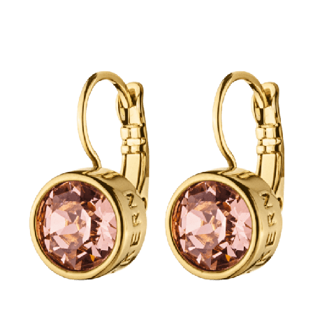 Dyrberg & Kern Örhängen Louise SG Smycken klockor Dam Guld ONESIZE