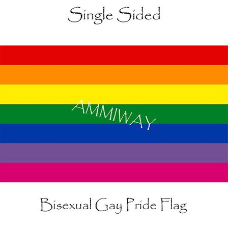 Lesbisk stolthet flagg og bannere alle størrelser ikke-binær B