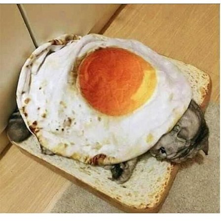 Katt/kennel seng, kjæledyr hvile seng, morsom plysj valp sofa pute teppe, KLB