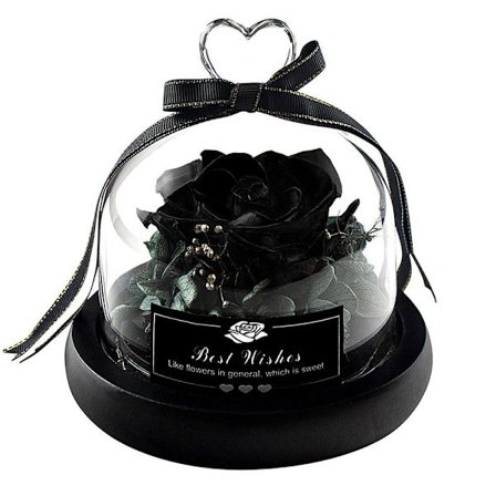 Lille Evighedsrose - Sort