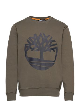Core Logo Crew Bb Green Timberland