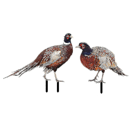 Fasaner Stake Sett Med 2 Plen Gård Dekorativ Statue Skulptur For Hage (best)