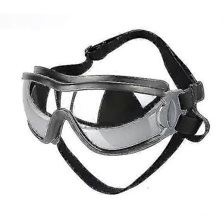 Husdjursglasögon Hund Vattentäta Glasögon Hund Vindtäta Glasögon Anti UV-Glasögon