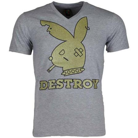 Local Fanatic - T-shirts - Grå - Herr - Storlek: Xl, Herr, Storlek: XL