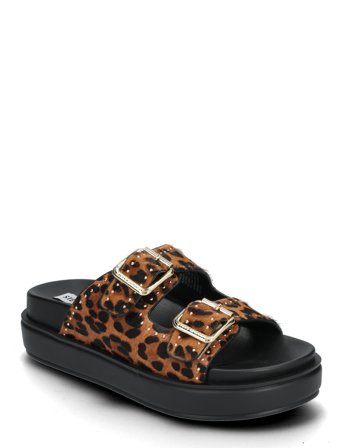 Steve Madden | Freelance-L Slides | 40