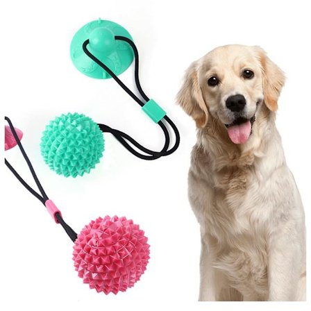 3 Hundleksaksbollar med snöre + sugkopp - Tuggleksak för valp, Do