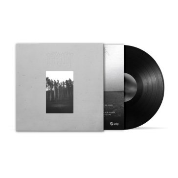 Cursed by the crown RAUM