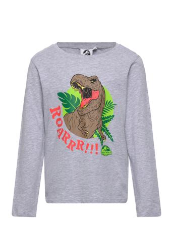 Long-Sleeved T-Shirt T-shirts Long-sleeved T-shirts Grå Jurassic World*Betinget Tilbud