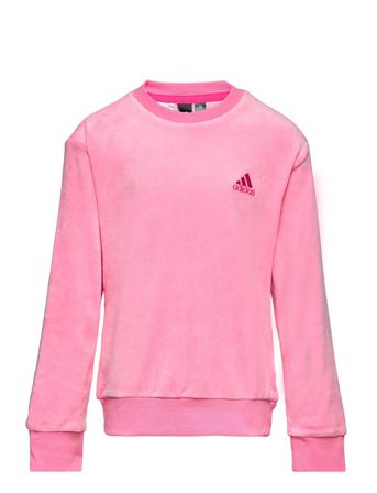 Lounge Velour Regular Sweatshirt Sweat-shirt Genser Rosa Adidas Performance