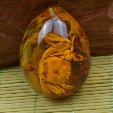 Butterfly Amber Stone Insect Spcimen Riipus RAPURAPU
