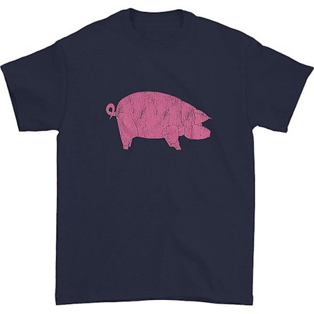 Pink Floyd AWBDG T-shirt M