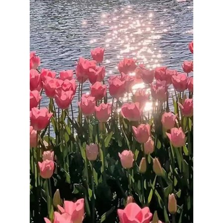 30x40cm 5D DIY timanttimaalaus täydellinen, ruususarja #C, DIY timanttitimantti