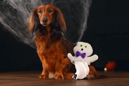 Hundeleke Halloween Spøkelse - 25cm