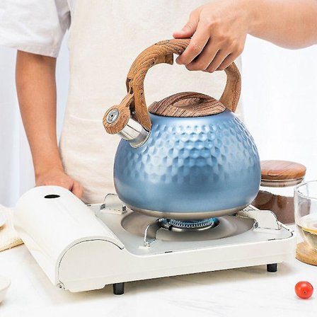 Rustfrit Stål Fløjtende Tekande Komfur Gryde