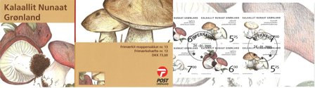 Grønland 2005 - AFA H-13 - Frimærkehæfte - Stemplet