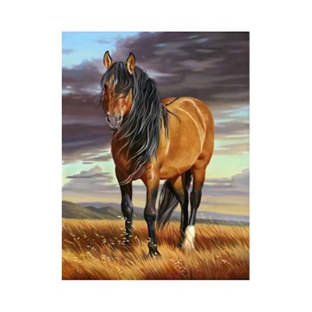 Heste-dyremotiv vægdekoration maleri 5D DIY diamantmaleri sæt 12x16 tommer