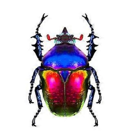 Metallinen hyönteisaidan ripustin seinälle ripustettavat koristeet ulkotarhan puutarhahahmo veistos kodin makuuhuoneen sisustukseen (tyyli 3)