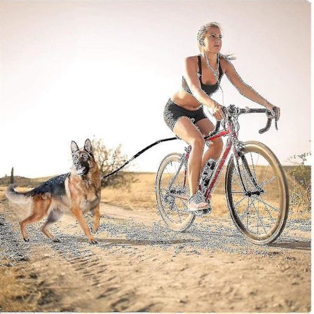 Cykelhundkoppel Avtagbar Drag Hund Med Cykelhundpromenad Enhet, Uppgradering