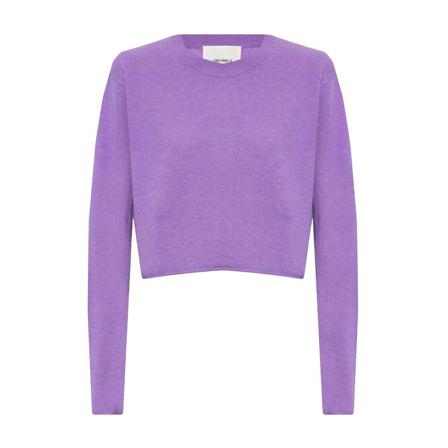 Lisa Yang, Round-neck Knitwear Paars, Dames, Maat:M