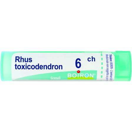 Boiron Rhus Toxicodendron 06Ch Tubo 80 Granuli 4g