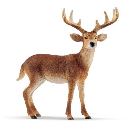 schleich WILD LIFE Vitsvanshjort Hane 14818
