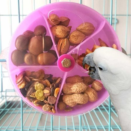 Pyörivä papukaija lelu pyörivä pyörä linnut pyörivä lelu papukaijalle