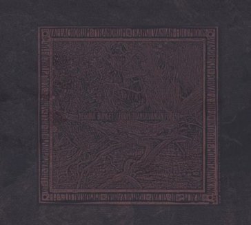 From transilvanian forest Negura Bunget