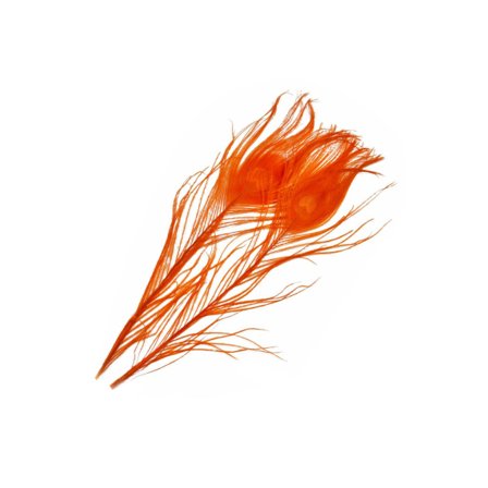 Frödin SNS Peacock Eye Feathers - B&D Burnt Orange