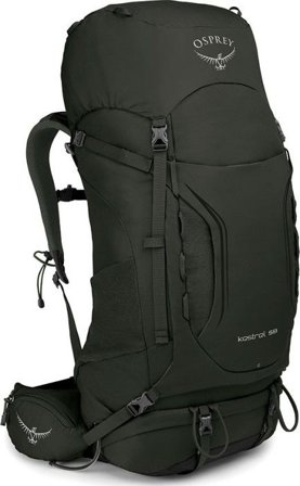 Osprey M's Kestrel 58L Picholine Green