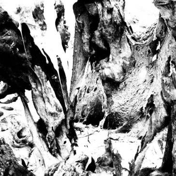 Soft action The Other Half