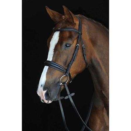 Collegiate Mono Crown Vadderad Upphöjd Läder Cavesson Bridle War