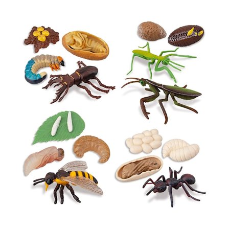 16 stk. Insektfigurer Safariology Legesæt - Hjortebille, Mantis & Myre Livscyklus
