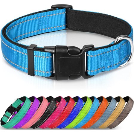 Hundehalsbånd, blødt neoprenpolstret åndbart nylon kæledyrshalsbånd justerbart til mellemstore hunde, himmelblå, M