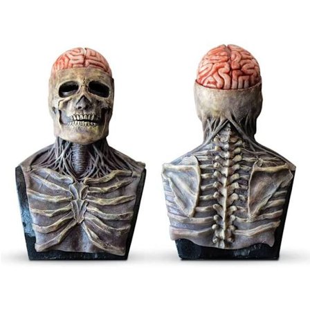 Läskig Halloween-mask - Hjärnskalle-mask - Latex-mask för hela huvudet - 3D Biokemisk Halloween Cosplay-mask