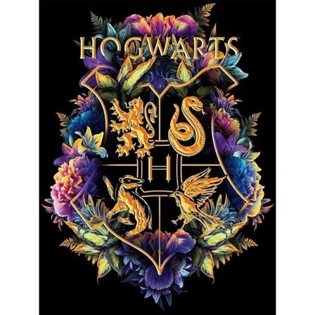 (30x40 cm) Harry Potter-tema diamantmålning, 30 x 40 cm, diamanter